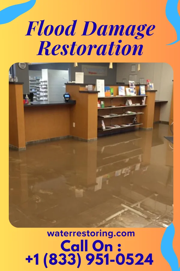 Flood Damage Restoration in Ligonier, IN